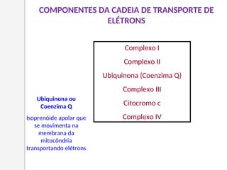 COMPONENTES DA CADEIA DE TRANSPORTE DE
ELÉTRONS
Complexo I
Complexo II
Ubiquinona (Coenzima Q)
Complexo III
Citocromo c
Complexo IV
Ubiquinona ou
Coenzima Q
Isoprenóide apolar que
se movimenta na
membrana da
mitocôndria
transportando elétrons
 