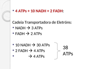  4 ATPs + 10 NADH + 2 FADH:
Cadeia Transportadora de Eletróns:
 NADH  3 ATPs
 FADH  2 ATPs
 10 NADH  30 ATPs
 2 FADH  4 ATPs
  4 ATPs
38
ATPs
 