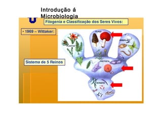 Introdução á
Microbiologia

 