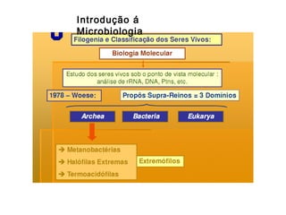 Introdução á
Microbiologia

 