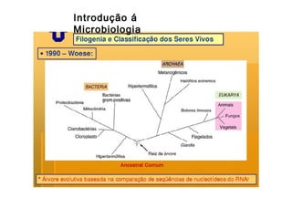 Introdução á
Microbiologia

 