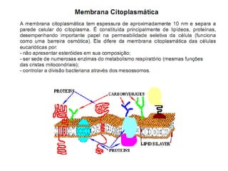 Introdução a mibrobiologia