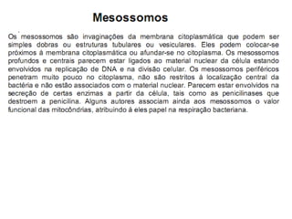 Introdução a mibrobiologia