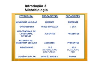Introdução á
Microbiologia

 