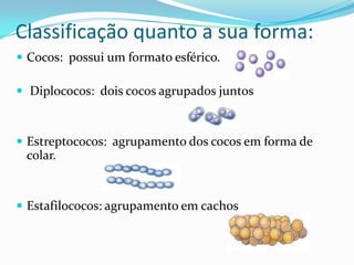 Classificação quanto a sua forma:
 Cocos: possui um formato esférico.
 Diplococos: dois cocos agrupados juntos
 Estreptococos: agrupamento dos cocos em forma de
colar.
 Estafilococos: agrupamento em cachos
 