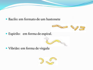  Bacilo: em formato de um bastonete
 Espirilo: em forma de espiral.
 Vibrião: em forma de virgula
 