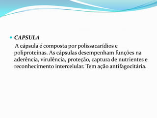  CAPSULA
A cápsula é composta por polissacarídios e
poliproteínas. As cápsulas desempenham funções na
aderência, virulência, proteção, captura de nutrientes e
reconhecimento intercelular. Tem ação antifagocitária.
 