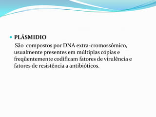  PLÁSMIDIO
São compostos por DNA extra-cromossômico,
usualmente presentes em múltiplas cópias e
freqüentemente codificam fatores de virulência e
fatores de resistência a antibióticos.
 