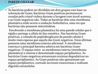  PAREDE CELULAR
 As bactérias podem ser divididas em dois grupos com base na
coloração de Gram; bactérias Gram positivas permanecem
coradas pelo cristal violeta durante a lavagem com ácool-acetona,
e as Gram negativas não. Todas as bactérias têm uma membrana
plasmática onde ocorre a oxidação fosforilativa, uma vez que
bactérias não possuem mitocôndrias.
Envolvendo a membrana plasmática há uma parede celular que é
rígida e protege a célula da lise osmótica. Nas bactérias Gram
positivas, a camada de pepitideoglicano da parede celular é
muito mais espessa que aquela das Gram negativas. Estas últimas
possuem uma membrana externa adicional. A membrana
externa é a principal barreira seletiva em bactérias Gram-
negativas. O espaço entre as membranas interna (membrana
plasmática) e externa é denominado espaço periplásmico. As
bactérias Gram-negativas armazenam enzimas degradativas no
espaço periplásmico. As Gram positivas não apresentam um
espaço periplásmico, contudo secretam exoenzimas e realizam
digestão extracelular.

 