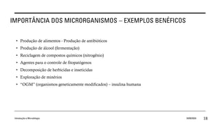 IMPORTÂNCIA DOS MICRORGANISMOS – EXEMPLOS BENÉFICOS
• Produção de alimentos - Produção de antibióticos
• Produção de álcool (fermentação)
• Reciclagem de compostos químicos (nitrogênio)
• Agentes para o controle de fitopatógenos
• Decomposição de herbicidas e inseticidas
• Exploração de minérios
• “OGM” (organismos geneticamente modificados) – insulina humana
Introdução a Microbilogia 16/09/2024 18
 