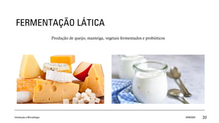 FERMENTAÇÃO LÁTICA
Produção de queijo, manteiga, vegetais fermentados e probióticos
Introdução a Microbilogia 16/09/2024 20
 