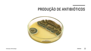 PRODUÇÃO DE ANTIBIÓTICOS
Introdução a Microbilogia 16/09/2024 22
 