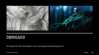 OBRIGADO
Dra Aparecida Sílvia Domingues| silvia.domingues@ifsudestemg.edu.br|
16/09/2024 28
Introdução a Microbilogia
 