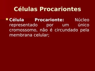 Células Procariontes
 Célula Procarionte: Núcleo
representado por um único
cromossomo, não é circundado pela
membrana celular;
 