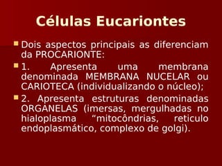 Células Eucariontes
 Dois aspectos principais as diferenciam
da PROCARIONTE:
 1. Apresenta uma membrana
denominada MEMBRANA NUCELAR ou
CARIOTECA (individualizando o núcleo);
 2. Apresenta estruturas denominadas
ORGANELAS (imersas, mergulhadas no
hialoplasma “mitocôndrias, reticulo
endoplasmático, complexo de golgi).
 