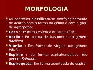 MORFOLOGIA
 As bactérias classificam-se morfologicamente
de acordo com a forma da célula e com o grau
de agregação:
 Coco : De forma esférica ou subesférica.
 Bacilo : Em forma de bastonete (do género
Bacillus)
 Vibrião : Em forma de vírgula (do género
Vibrio)
 Espirilo : de forma espiral/ondulada (do
género Spirillum)
 Espiroqueta: Em forma acentuada de espiral
 