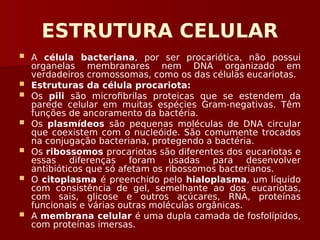 ESTRUTURA CELULAR
 A célula bacteriana, por ser procariótica, não possui
organelas membranares nem DNA organizado em
verdadeiros cromossomas, como os das células eucariotas.
 Estruturas da célula procariota:
 Os pili são microfibrilas proteicas que se estendem da
parede celular em muitas espécies Gram-negativas. Têm
funções de ancoramento da bactéria.
 Os plasmídeos são pequenas moléculas de DNA circular
que coexistem com o nucleóide. São comumente trocados
na conjugação bacteriana, protegendo a bactéria.
 Os ribossomos procariotas são diferentes dos eucariotas e
essas diferenças foram usadas para desenvolver
antibióticos que só afetam os ribossomos bacterianos.
 O citoplasma é preenchido pelo hialoplasma, um líquido
com consistência de gel, semelhante ao dos eucariotas,
com sais, glicose e outros açúcares, RNA, proteínas
funcionais e várias outras moléculas orgânicas.
 A membrana celular é uma dupla camada de fosfolípidos,
com proteínas imersas.
 