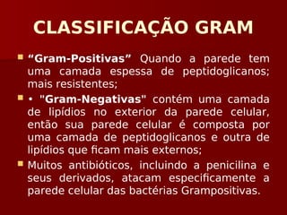 CLASSIFICAÇÃO GRAM
 “Gram-Positivas” Quando a parede tem
uma camada espessa de peptidoglicanos;
mais resistentes;
 • "Gram-Negativas" contém uma camada
de lipídios no exterior da parede celular,
então sua parede celular é composta por
uma camada de peptidoglicanos e outra de
lipídios que ficam mais externos;
 Muitos antibióticos, incluindo a penicilina e
seus derivados, atacam especificamente a
parede celular das bactérias Grampositivas.
 