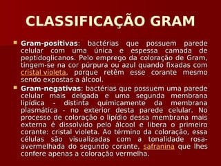 CLASSIFICAÇÃO GRAM
 Gram-positivas
Gram-positivas: bactérias que possuem parede
: bactérias que possuem parede
celular com uma única e espessa camada de
celular com uma única e espessa camada de
peptidoglicanos. Pelo emprego da coloração de Gram,
peptidoglicanos. Pelo emprego da coloração de Gram,
tingem-se na cor púrpura ou azul quando fixadas com
tingem-se na cor púrpura ou azul quando fixadas com
cristal violeta, porque retêm esse corante mesmo
, porque retêm esse corante mesmo
sendo expostas a álcool.
sendo expostas a álcool.
 Gram-negativas
Gram-negativas: bactérias que possuem uma parede
: bactérias que possuem uma parede
celular mais delgada e uma segunda membrana
celular mais delgada e uma segunda membrana
lipídica - distinta quimicamente da membrana
lipídica - distinta quimicamente da membrana
plasmática - no exterior desta parede celular. No
plasmática - no exterior desta parede celular. No
processo de coloração o lipídio dessa membrana mais
processo de coloração o lipídio dessa membrana mais
externa é dissolvido pelo álcool e libera o primeiro
externa é dissolvido pelo álcool e libera o primeiro
corante: cristal violeta. Ao término da coloração, essa
corante: cristal violeta. Ao término da coloração, essa
células são visualizadas com a tonalidade rosa-
células são visualizadas com a tonalidade rosa-
avermelhada do segundo corante,
avermelhada do segundo corante, safranina que lhes
que lhes
confere apenas a coloração vermelha.
confere apenas a coloração vermelha.
 