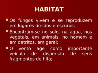 HABITAT
 Os fungos vivem e se reproduzem
em lugares úmidos e escuros;
 Encontram-se no solo, na água, nos
vegetais, em animais, no homem e
em detritos, em geral;
 O vento age como importante
veículo de dispersão de seus
fragmentos de hifa;
 