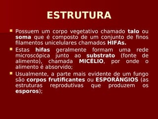 ESTRUTURA
 Possuem um corpo vegetativo chamado talo ou
soma que é composto de um conjunto de finos
filamentos unicelulares chamados HIFAs.
 Estas hifas geralmente formam uma rede
microscópica junto ao substrato (fonte de
alimento), chamada MICÉLIO, por onde o
alimento é absorvido;
 Usualmente, a parte mais evidente de um fungo
são corpos frutificantes ou ESPORÂNGIOS (as
estruturas reprodutivas que produzem os
esporos);
 