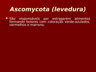 Ascomycota (levedura)
 São responsáveis por estragarem alimentos
formando bolores com coloração verde-azulados,
vermelhos e marrons;
 