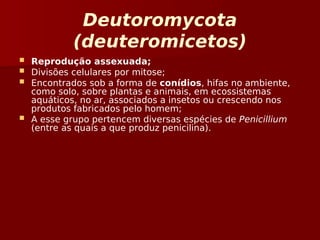 Deutoromycota
(deuteromicetos)
 Reprodução assexuada;
 Divisões celulares por mitose;
 Encontrados sob a forma de conídios, hifas no ambiente,
como solo, sobre plantas e animais, em ecossistemas
aquáticos, no ar, associados a insetos ou crescendo nos
produtos fabricados pelo homem;
 A esse grupo pertencem diversas espécies de Penicillium
(entre as quais a que produz penicilina).
 