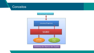 Conceitos
 