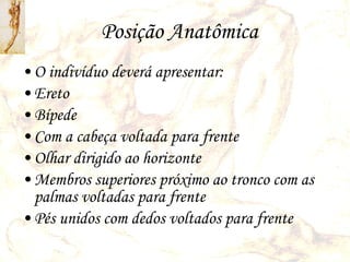 Posição Anatômica O indivíduo deverá apresentar: Ereto Bípede Com a cabeça voltada para frente Olhar dirigido ao horizonte Membros superiores próximo ao tronco com as palmas voltadas para frente Pés unidos com dedos voltados para frente 
