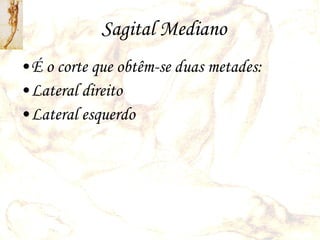 Sagital Mediano É o corte que obtêm-se duas metades: Lateral direito Lateral esquerdo 