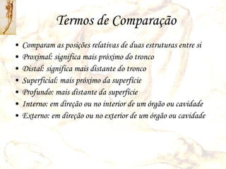 Termos de Comparação Comparam as posições relativas de duas estruturas entre si Proximal: significa mais próximo do tronco Distal: significa mais distante do tronco Superficial: mais próximo da superfície Profundo: mais distante da superfície Interno: em direção ou no interior de um órgão ou cavidade Externo: em direção ou no exterior de um órgão ou cavidade 