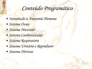 Conteúdo Programático Introdução à Anatomia Humana Sistema Ósseo Sistema Muscular Sistema Cardiovascular Sistema Respiratório Sistema Urinário e Reprodutor Sistema Nervoso 