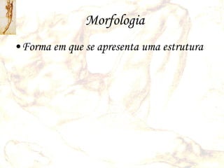 Morfologia Forma em que se apresenta uma estrutura   