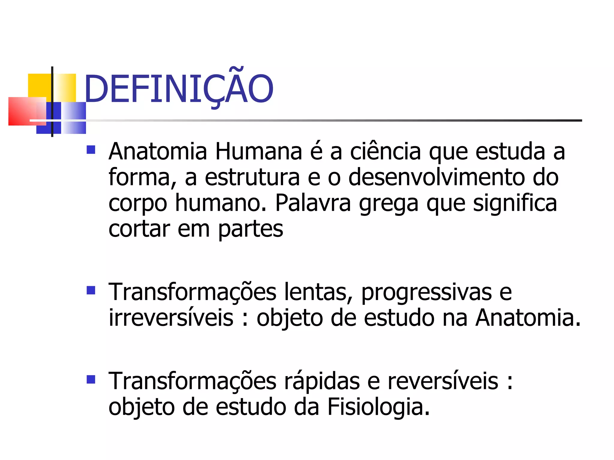 Introdução anatomia | PPT