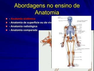 Abordagens no ensino de
Anatomia
- Anatomia sistêmica
- Anatomia de superfície ou do vivo
- Anatomia radiológica
- Anatomia comparada
 