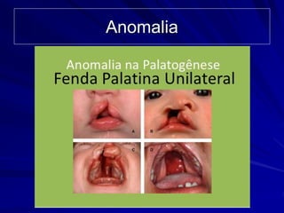 INTRODUÇÃO À ANATOMIA 2017.ppt