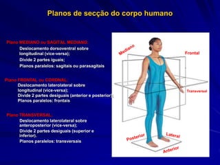 Planos de secção do corpo humano
Plano MEDIANO ou SAGITAL MEDIANO:
Deslocamento dorsoventral sobre
longitudinal (vice-versa);
Divide 2 partes iguais;
Planos paralelos: sagitais ou parasagitais
Frontal
Transversal
Plano FRONTAL ou CORONAL:
Deslocamento laterolateral sobre
longitudinal (vice-versa);
Divide 2 partes desiguais (anterior e posterior);
Planos paralelos: frontais
Plano TRANSVERSAL:
Deslocamento laterolateral sobre
anteroposterior (vice-versa);
Divide 2 partes desiguais (superior e
inferior).
Planos paralelos: transversais
 