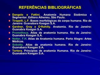REFERÊNCIAS BIBLIOGRÁFICAS
Dangelo e Fattini. Anatomia Humana Sistêmica e
Segmentar. Editora Atheneu, São Paulo.
Tirapelli, L.F. Bases morfológicas do corpo humano. Rio de
Janeiro: Guanabara Koogan S.A.
Gardner, Gray e O‫׳‬Rahilly. Anatomia. Rio de Janeiro:
Guanabra Koogan S.A.
Prometheus. Atlas de anatomia humana. Rio de Janeiro:
Guanabra Koogan S.A.
Netter, F.H. Atlas de Anatomia humana. Porto Alegre: Artes
Médicas.
Sobotta. Atlas de anatomia humana. Rio de Janeiro:
Guanabara Koogan S.A.
Tortora. Princípios de anatomia Humana. Rio de Janeiro:
Guanabara Koogan S.A.
 