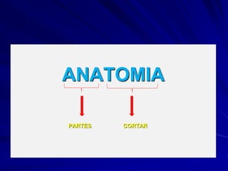 ANATOMIA
PARTES CORTAR
 