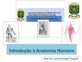 Prof. Dr. Luís Fernando Tirapelli
Introdução à Anatomia Humana
 