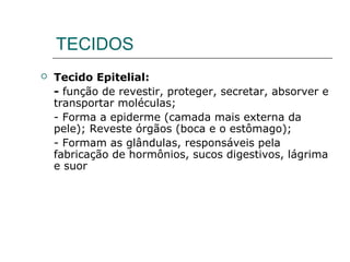 TECIDOS
 Tecido Epitelial:
- função de revestir, proteger, secretar, absorver e
transportar moléculas;
- Forma a epiderme (camada mais externa da
pele); Reveste órgãos (boca e o estômago);
- Formam as glândulas, responsáveis pela
fabricação de hormônios, sucos digestivos, lágrima
e suor
 
