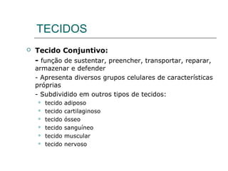 TECIDOS
 Tecido Conjuntivo:
- função de sustentar, preencher, transportar, reparar,
armazenar e defender
- Apresenta diversos grupos celulares de características
próprias
- Subdividido em outros tipos de tecidos:
 tecido adiposo
 tecido cartilaginoso
 tecido ósseo
 tecido sanguíneo
 tecido muscular
 tecido nervoso
 