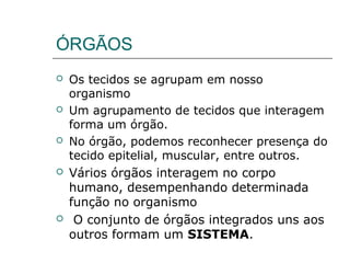 ÓRGÃOS
 Os tecidos se agrupam em nosso
organismo
 Um agrupamento de tecidos que interagem
forma um órgão.
 No órgão, podemos reconhecer presença do
tecido epitelial, muscular, entre outros.
 Vários órgãos interagem no corpo
humano, desempenhando determinada
função no organismo
 O conjunto de órgãos integrados uns aos
outros formam um SISTEMA.
 
