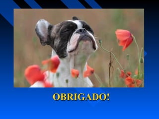 OBRIGADO!OBRIGADO!
 