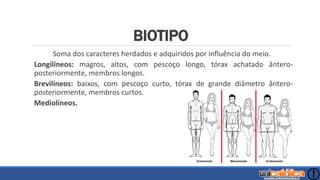 BIOTIPO
Soma dos caracteres herdados e adquiridos por influência do meio.
Longilíneos: magros, altos, com pescoço longo, tórax achatado ântero-
posteriormente, membros longos.
Brevilíneos: baixos, com pescoço curto, tórax de grande diâmetro ântero-
posteriormente, membros curtos.
Mediolíneos.
 