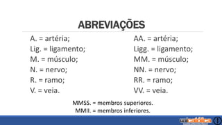 ABREVIAÇÕES
A. = artéria;
Lig. = ligamento;
M. = músculo;
N. = nervo;
R. = ramo;
V. = veia.
AA. = artéria;
Ligg. = ligamento;
MM. = músculo;
NN. = nervo;
RR. = ramo;
VV. = veia.
MMSS. = membros superiores.
MMII. = membros inferiores.
 