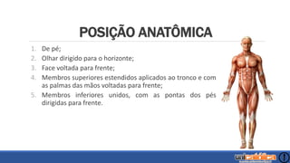 1. De pé;
2. Olhar dirigido para o horizonte;
3. Face voltada para frente;
4. Membros superiores estendidos aplicados ao tronco e com
as palmas das mãos voltadas para frente;
5. Membros inferiores unidos, com as pontas dos pés
dirigidas para frente.
POSIÇÃO ANATÔMICA
 