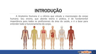 INTRODUÇÃO
A Anatomia Humana é a ciência que estuda a macroscopia do corpo
humano. Seu ensino, que aborda teoria e prática, é de fundamental
importância para todos os profissionais da área da saúde, e é a base para
entender todo o funcionamento do corpo.
 