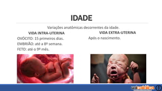 IDADE
VIDA INTRA-UTERINA
OVÓCITO: 15 primeiros dias.
EMBRIÃO: até a 8ª semana.
FETO: até o 9º mês.
VIDA EXTRA-UTERINA
Após o nascimento.
Variações anatômicas decorrentes da idade.
 