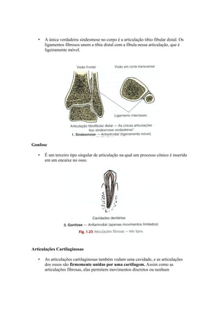 • A única verdadeira sindesmose no corpo é a articulação tibio fibular distal. Os
ligamentos fibrosos unem a tíbia distal com a fíbula nessa articulação, que é
ligeiramente móvel.
Gonfose
• É um terceiro tipo singular de articulação na qual um processo cônico é inserido
em um encaixe no osso.
Articulações Cartilaginosas
• As articulações cartilaginosas também vedam uma cavidade, e as articulações
dos ossos são firmemente unidas por uma cartilagem. Assim como as
articulações fibrosas, elas permitem movimentos discretos ou nenhum
 